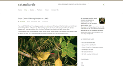 Desktop Screenshot of blog.catandturtle.net